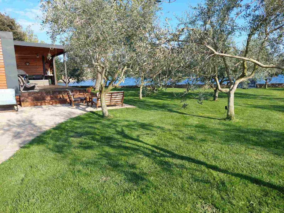 Beach House Ive With Jacuzzi, Pool, Playground And Bbq In An Olive Grove With A Beach, Pomer - Istria 外观 照片