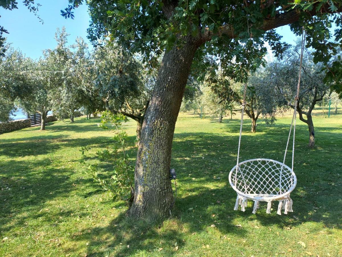 Beach House Ive With Jacuzzi, Pool, Playground And Bbq In An Olive Grove With A Beach, Pomer - Istria 外观 照片