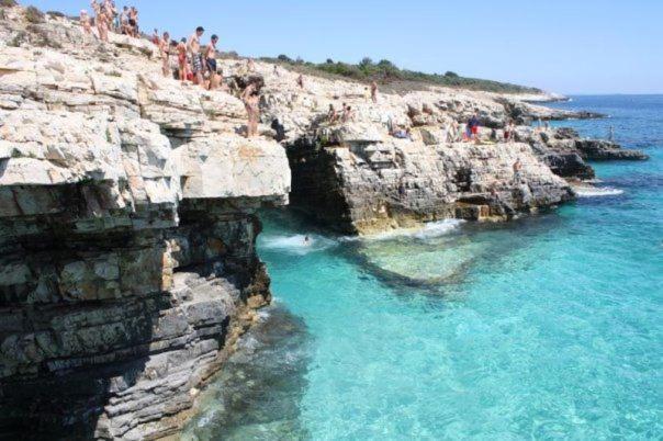 Beach House Ive With Jacuzzi, Pool, Playground And Bbq In An Olive Grove With A Beach, Pomer - Istria 外观 照片