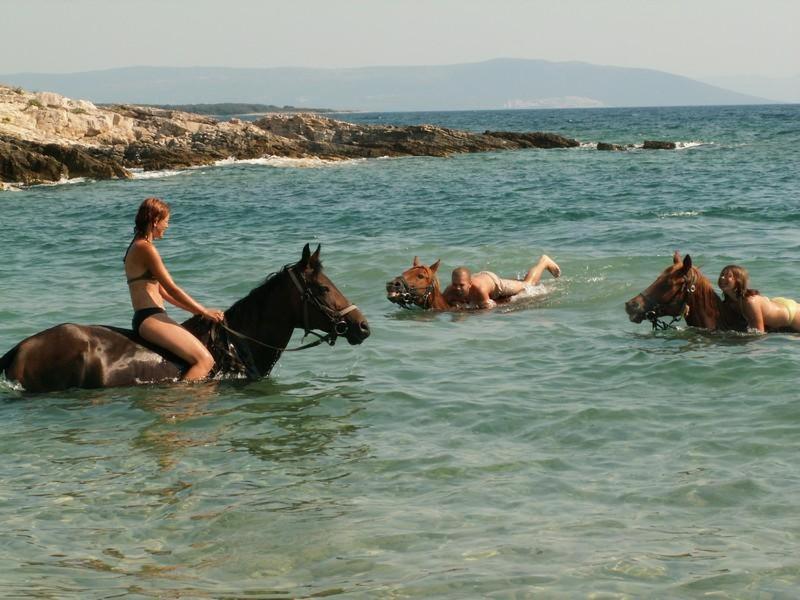 Beach House Ive With Jacuzzi, Pool, Playground And Bbq In An Olive Grove With A Beach, Pomer - Istria 外观 照片