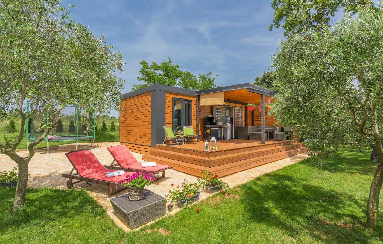 Beach House Ive With Jacuzzi, Pool, Playground And Bbq In An Olive Grove With A Beach, Pomer - Istria 外观 照片